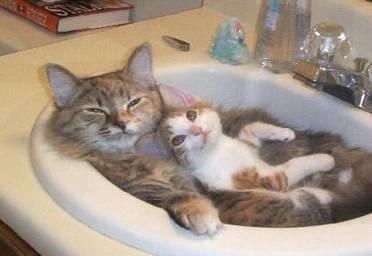 comfort kala kala ne!!!!!! - click for next photo