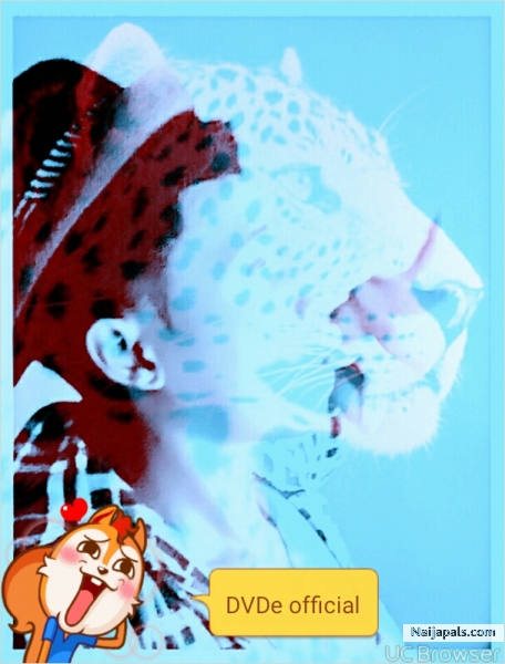 Official DVDe - click for next photo