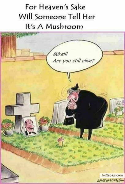 ==**==** :*:* - click for next photo