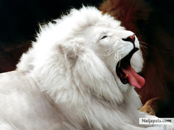 I am very greatful - click for next photo