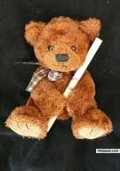 Bear - click for next photo