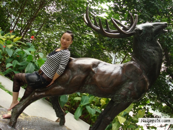  - click for next photo