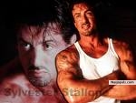 Rambo - click for next photo