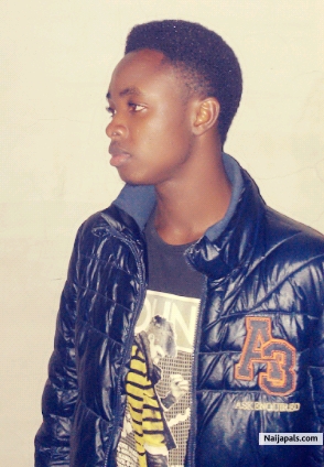  - click for next photo