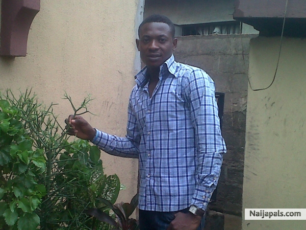 Using the flowers - click for next photo