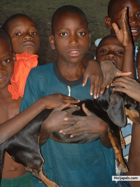 everybody wanted to touch my goat along the village path - click for next photo
