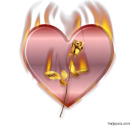 so so na love - click for next photo