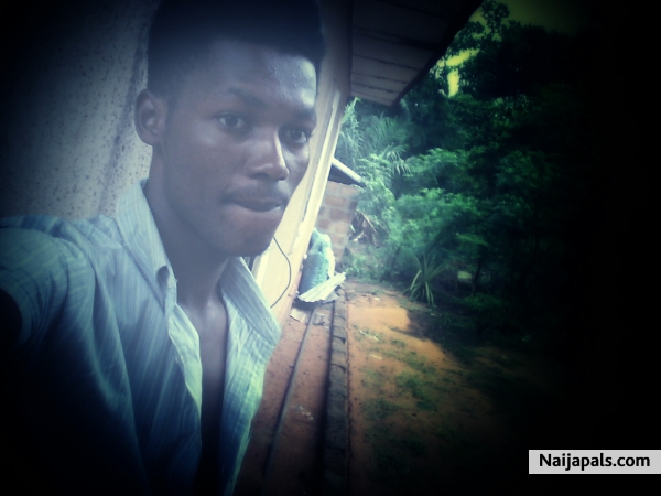 #Dragmoni - click for next photo