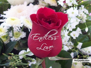 Love is endless. - click for next photo
