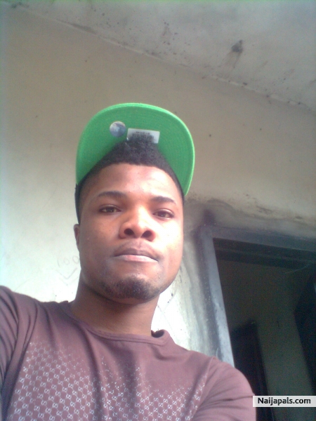 fyn bois no wrinkle - click for next photo