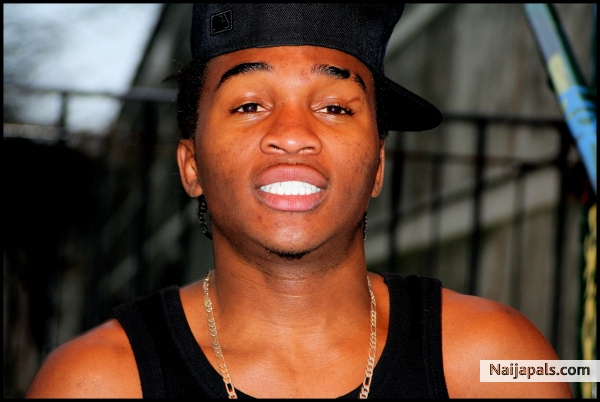 skido - click for next photo