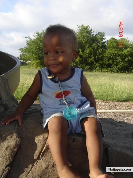 darius - click for next photo