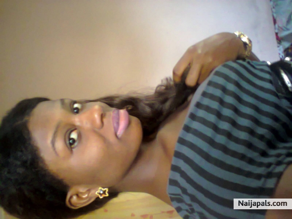 Nissidiva - click for next photo
