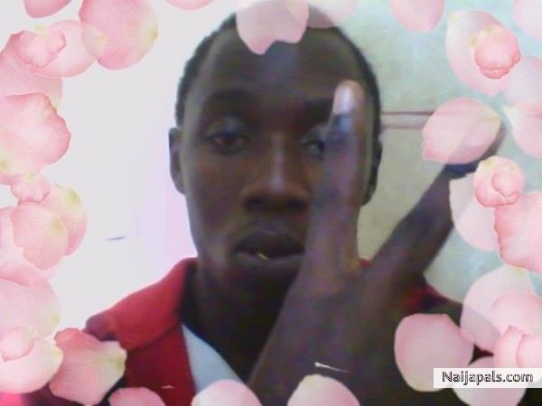 [] - click for next photo