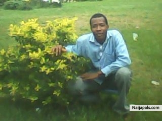 rigght - click for next photo