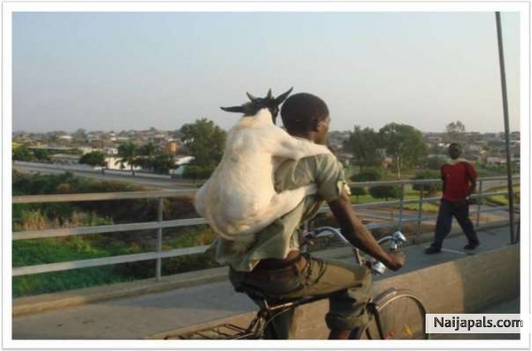 life in de gheto - click for next photo