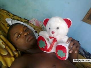 you like the teddy? - click for next photo