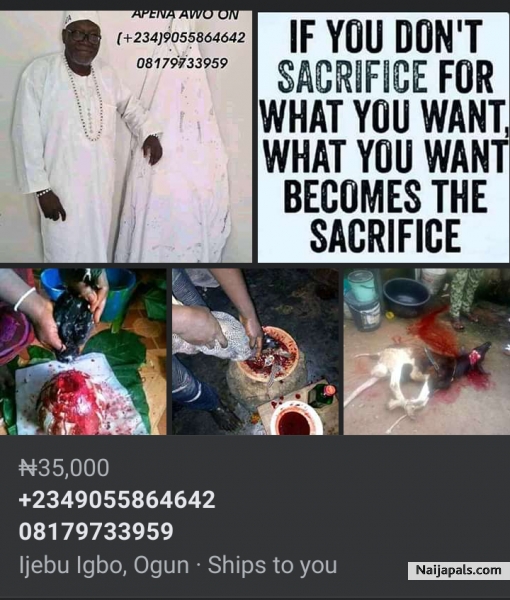 https://baba-apena.tumblr.com/post/637778868497956864/ifa-is-the-way-of-life-from-horlar-richie-son-of *BABA APENA* is a native doctor and he deal with many spiritual problems And his ready to help people in any problem....👂👂 *𝑺𝒖𝒄𝒄𝒆𝒔𝒔𝒇𝒖𝒍 𝒑𝒆𝒐𝒑𝒍𝒆 𝒂𝒍𝒘𝒂𝒚𝒔 𝒕𝒂𝒌𝒆 𝒂𝒅𝒗𝒂𝒏𝒕𝒂𝒈𝒆 𝒐𝒇 𝒐𝒑𝒑𝒐𝒓𝒕𝒖𝒏𝒊𝒕𝒚 𝒕𝒐 𝒕𝒉𝒆𝒊𝒓 � - click for next photo
