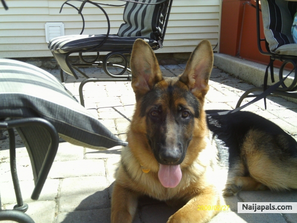my lovely freesky - click for next photo