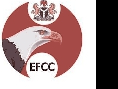 NIGERIAN SCARED EAGLE - click for next photo