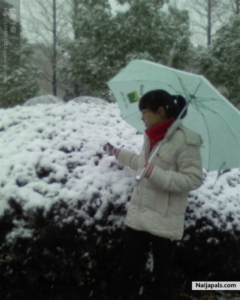white white world - click for next photo