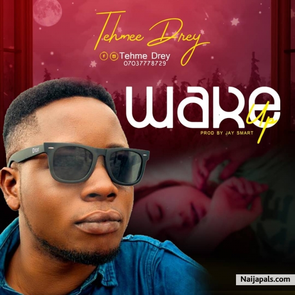 Tehmee drey - Wake up