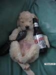 drunken master - click for next photo