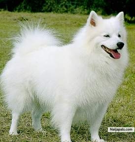 Cute - click for next photo