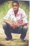 cool........... - click for next photo