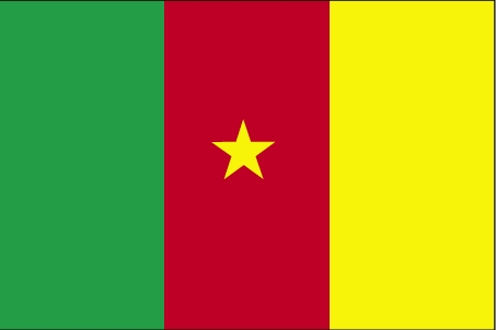Cameroon Flag - click for next photo