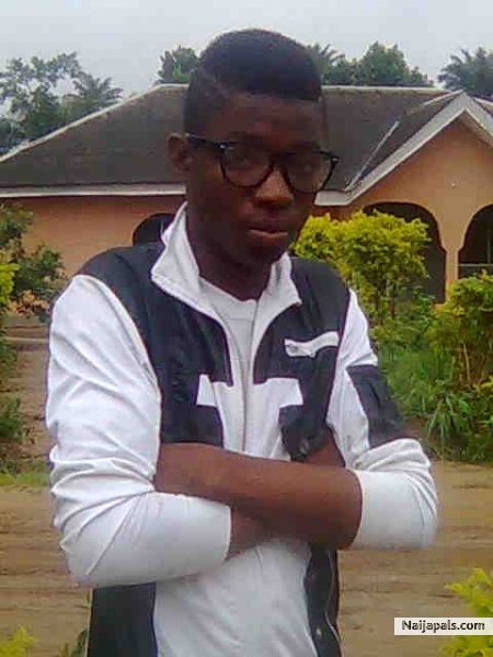 5yn boy - click for next photo