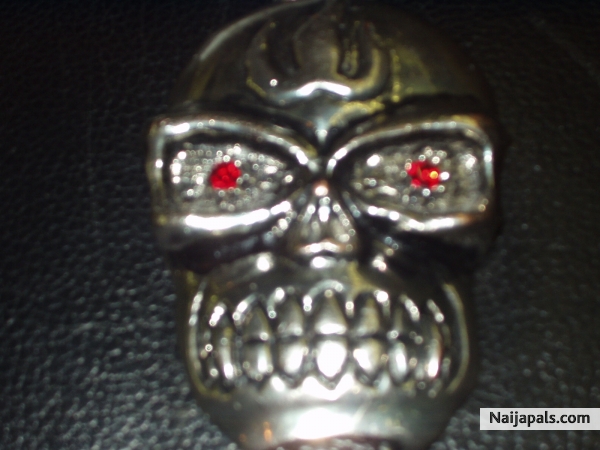 bad guy????? - click for next photo