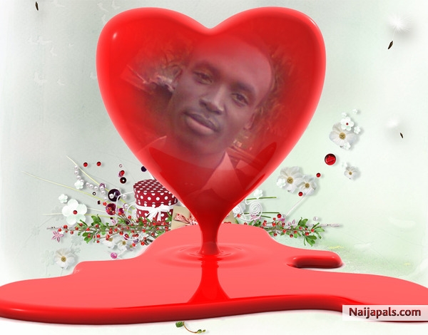 LOVER BOY - click for next photo