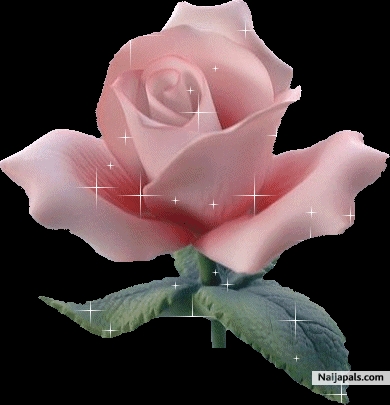 JUST 4 U - click for next photo