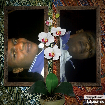 pic mix - click for next photo