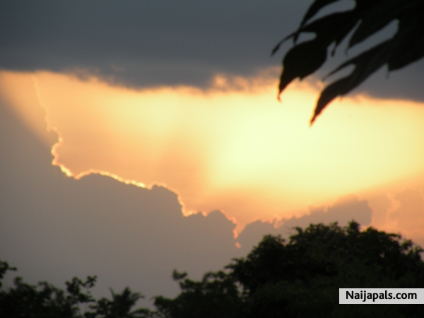 Nature' s gift to man - click for next photo