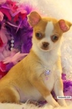 please this is my babay - click for next photo