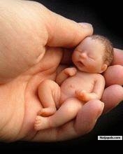 we all ar in the hands of god - click for next photo