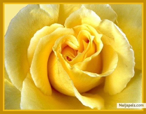 i love you - click for next photo
