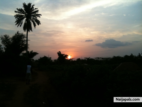  - click for next photo