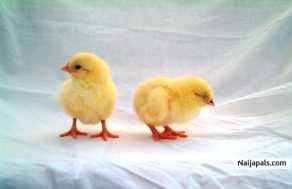what do i name you? - click for next photo