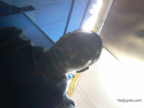  - click for next photo