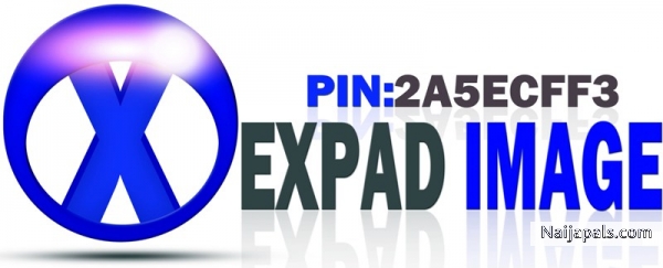 expad media on dark Blue - click for next photo