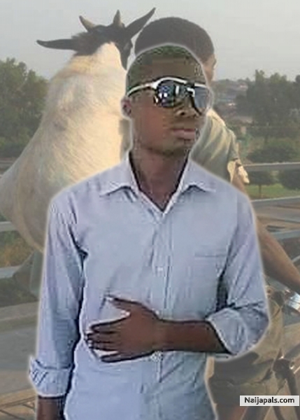 5nboi noni - click for next photo