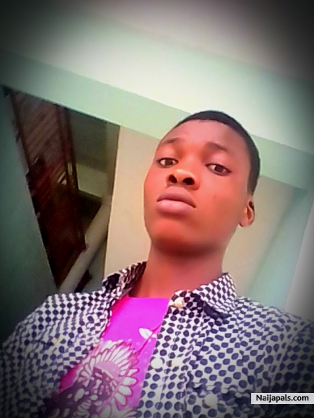 Mr Favourable - click for next photo