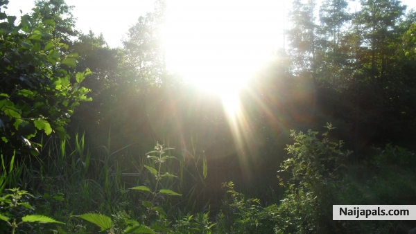 the beauty of nature - click for next photo