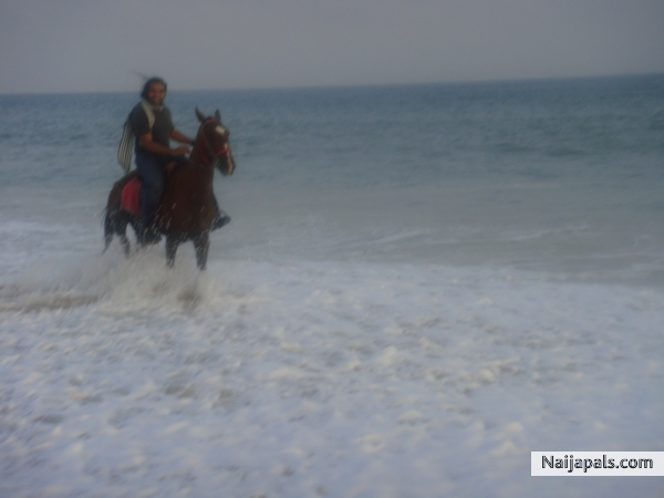 Long ride in the beach.. - click for next photo