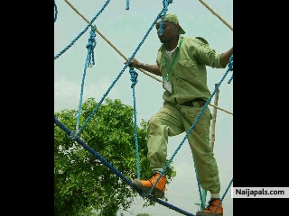 N.Y.S.C Tinz - click for next photo