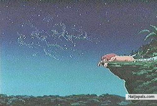 I Am A Lion King. - click for next photo