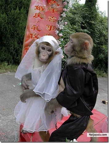 the world' s memorable wedding ceremony - click for next photo